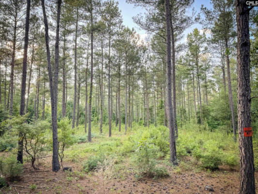 424 TARPON RD LOT 2, LEESVILLE, SC 29070 - Image 1