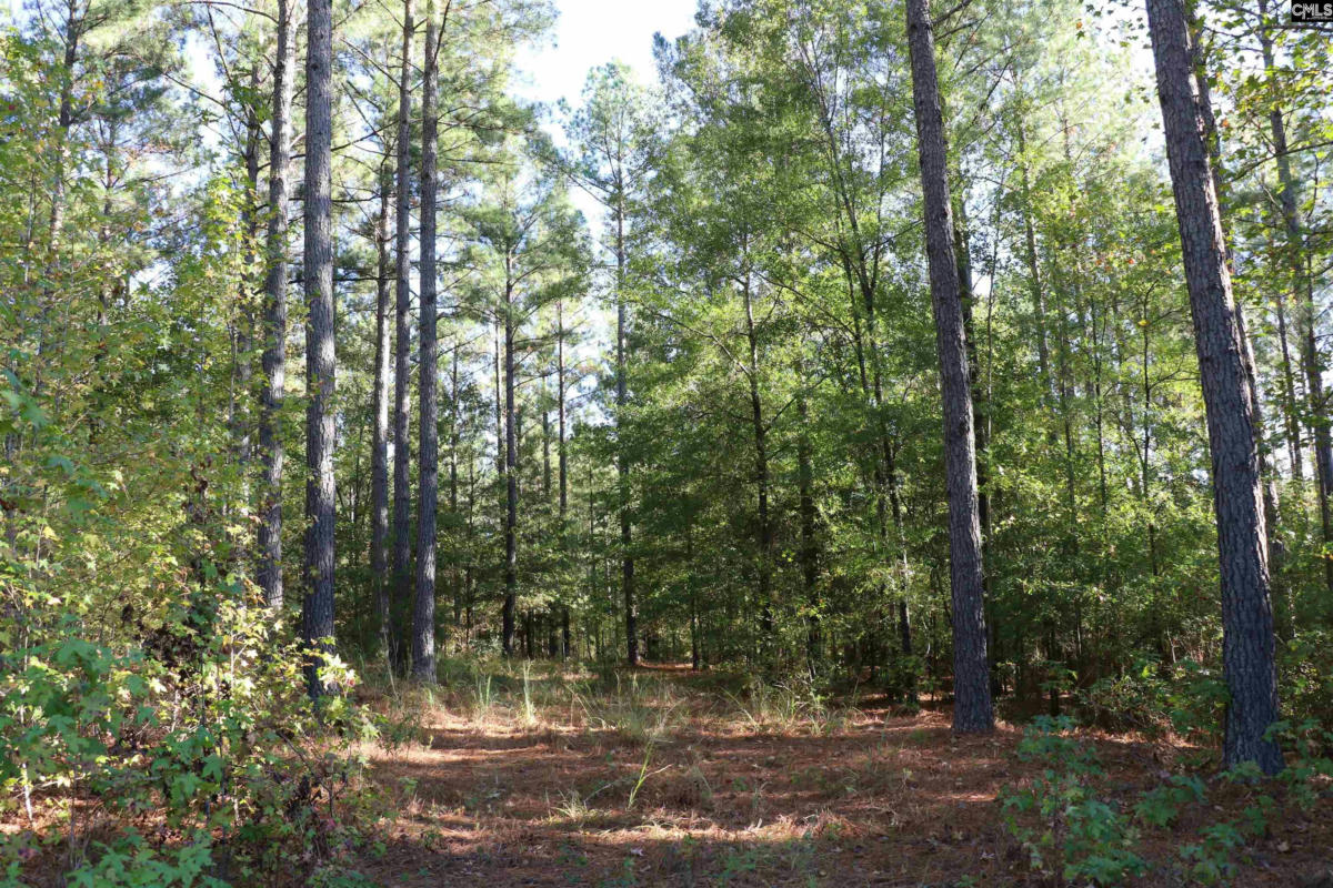TBD OVERBROOK DRIVE, MCCORMICK, SC 29835, photo 1 of 29
