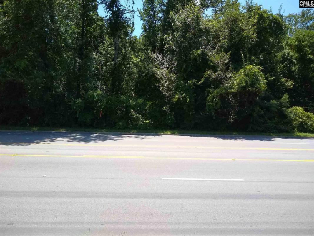 0 CHESTERFIELD HIGHWAY, CHERAW, SC 29520, photo 1 of 7