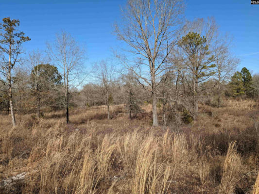 316 HOUND HOLLOW RD, CAMDEN, SC 29020, photo 5 of 23