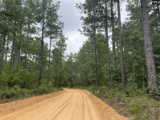 1 FOX YOUNG RD # 1, WAGENER, SC 29164 - Image 1