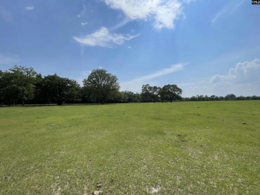 0 SAND DAM ROAD # TRACT B, WAGENER, SC 29164, photo 4 of 12