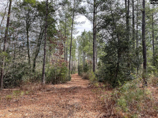 380 TARPON RD LOT 4, LEESVILLE, SC 29070 - Image 1