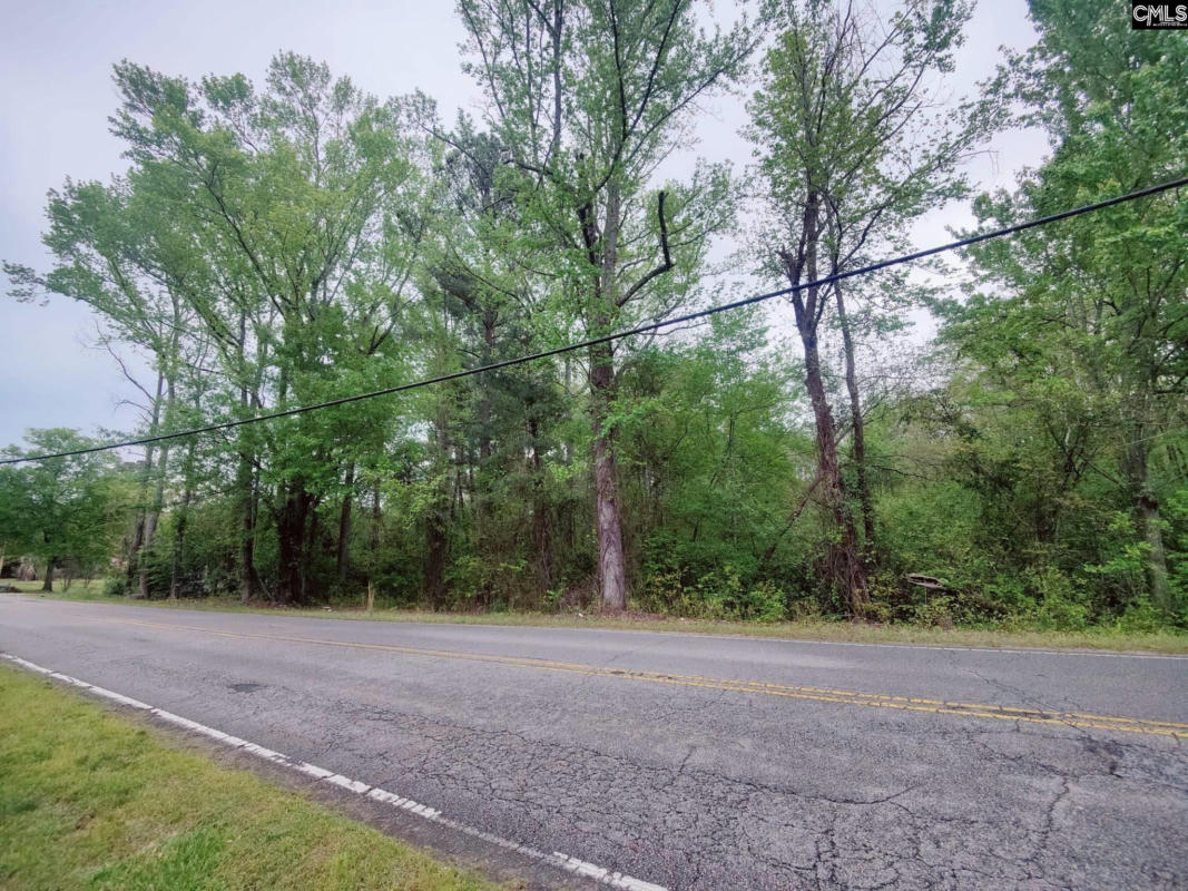 MINERAL SPRINGS ROAD, LEXINGTON, SC 29073, photo 1 of 6