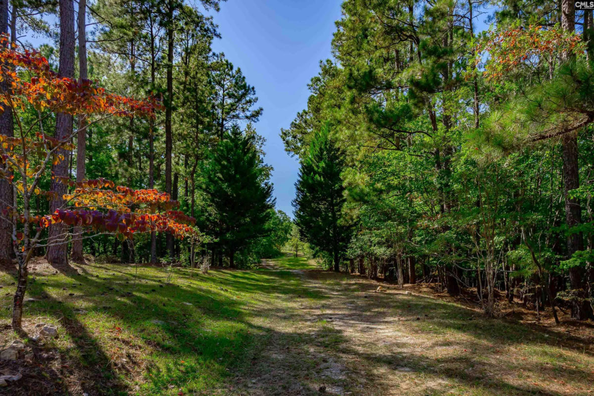 10011 LONGTOWN RD, RIDGEWAY, SC 29130, photo 1 of 62