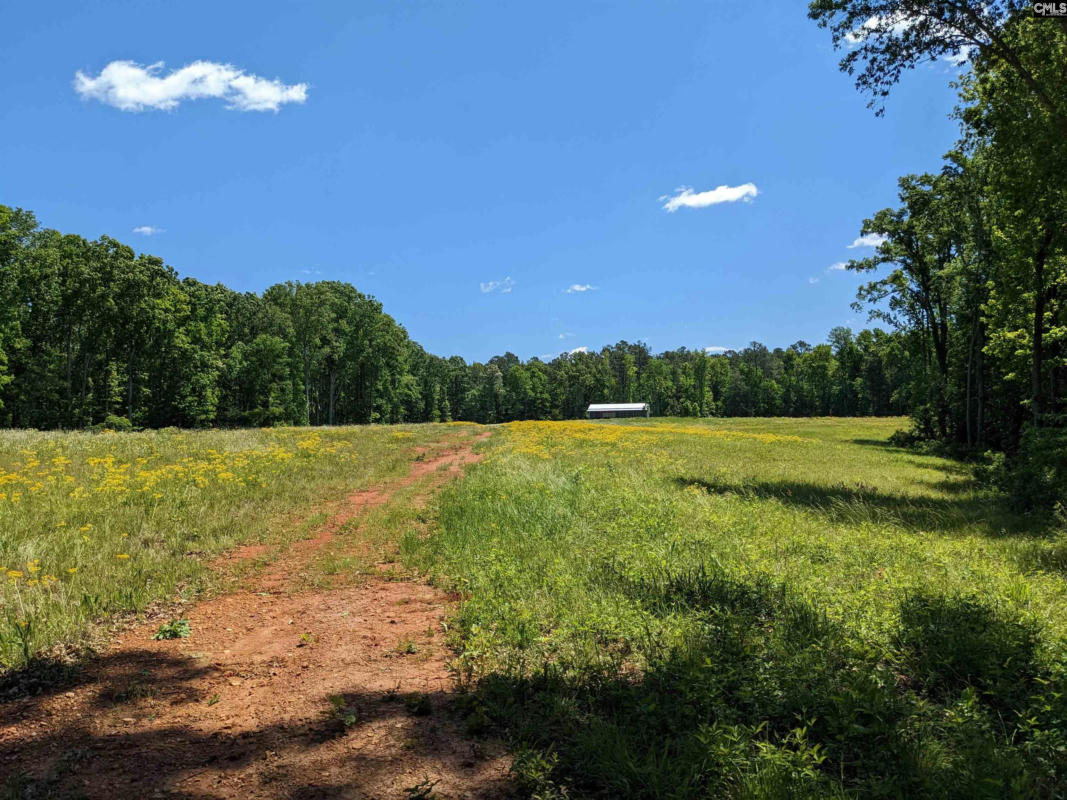 0 MINGER ROAD, BLYTHEWOOD, SC 29016, photo 1 of 31