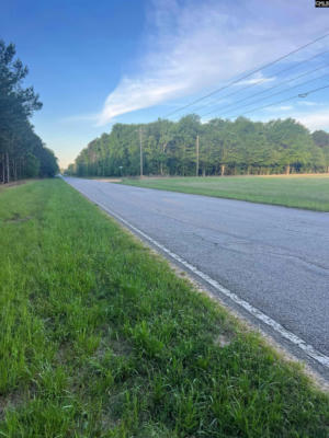 LOT 1DH WAGENER RD # 1DH, SALLEY, SC 29164 - Image 1