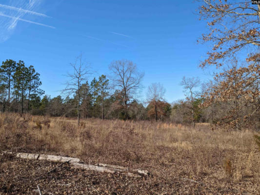 316 HOUND HOLLOW RD, CAMDEN, SC 29020, photo 2 of 23