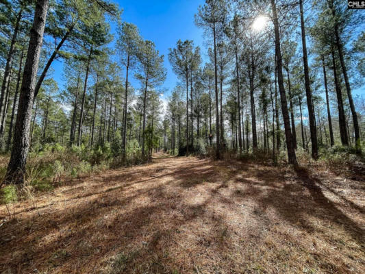 346 TARPON RD LOT 7, LEESVILLE, SC 29070 - Image 1